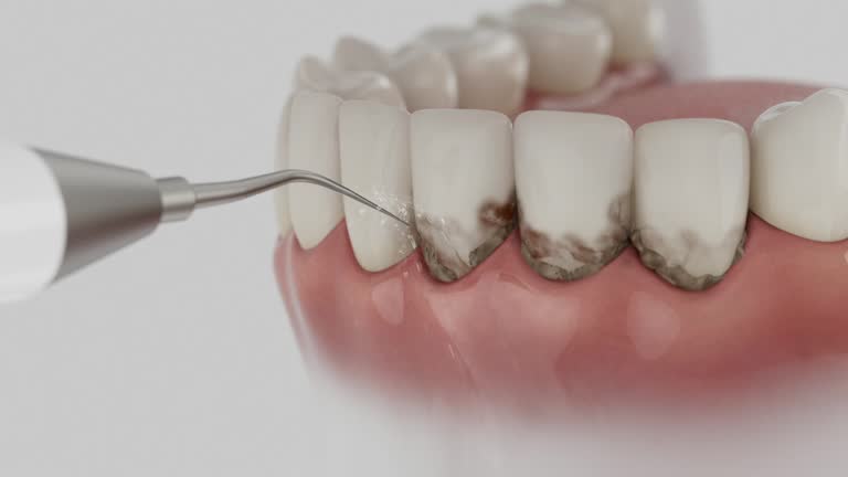 Reliable Dental contractor in Manhattan, MT by Dentist Open Now